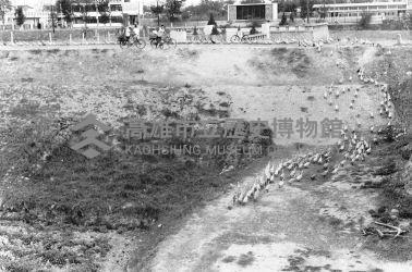 登錄號:KH2006.014.0212藏品圖，第1張