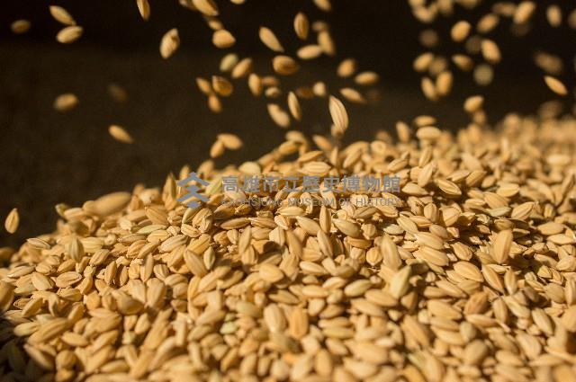 登錄號:KH2017.016.0012藏品圖，第1張