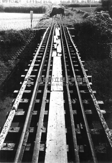 登錄號:KH2006.014.0342藏品圖，第1張