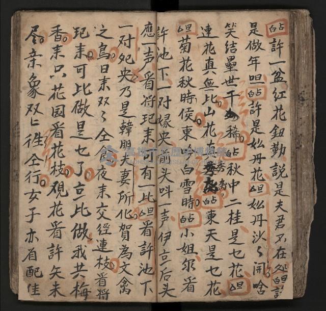 皮影戲劇本《飛鵝洞白荔枝》藏品圖，第82張