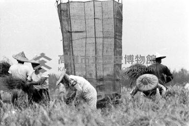 登錄號:KH2006.014.0132藏品圖，第1張