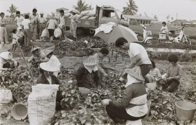 登錄號:KH2015.003.0132藏品圖，第1張