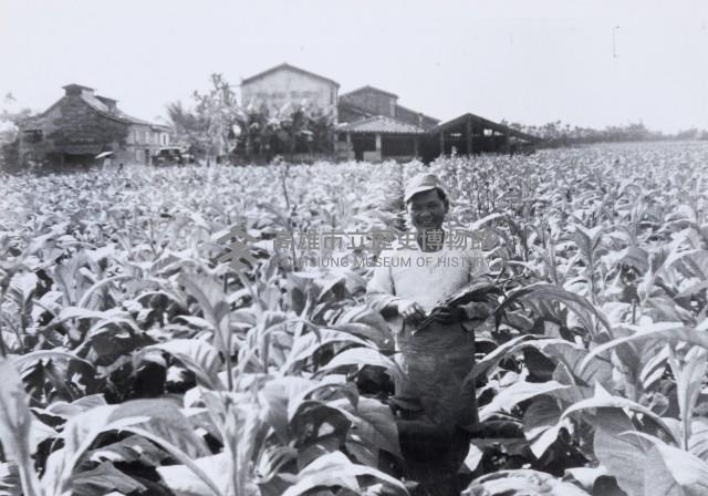 登錄號:KH2015.003.0032藏品圖，第1張