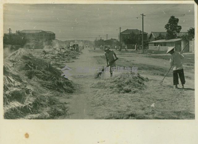 個人、建築及風景照相冊藏品圖，第89張