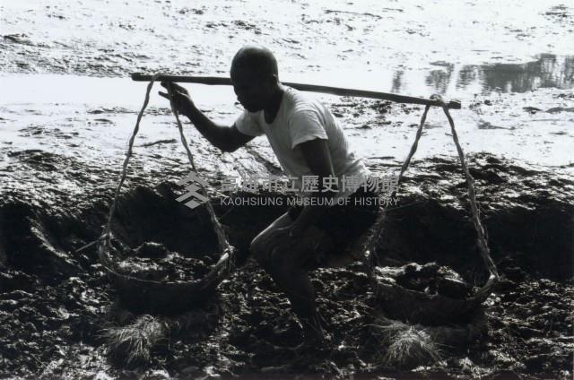 高雄鄉間農作景象-1藏品圖，第1張