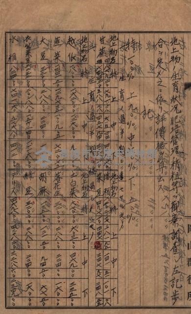 高臨營第一號ノ內九第（1）號借地
（前峯、港口崙、後協）藏品圖，第20張