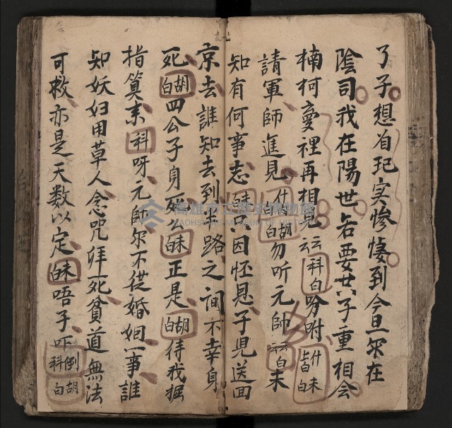 皮影戲劇本《飛鵝洞白荔枝》藏品圖，第50張