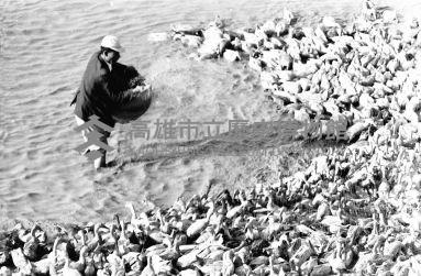 登錄號:KH2006.014.0167藏品圖，第1張