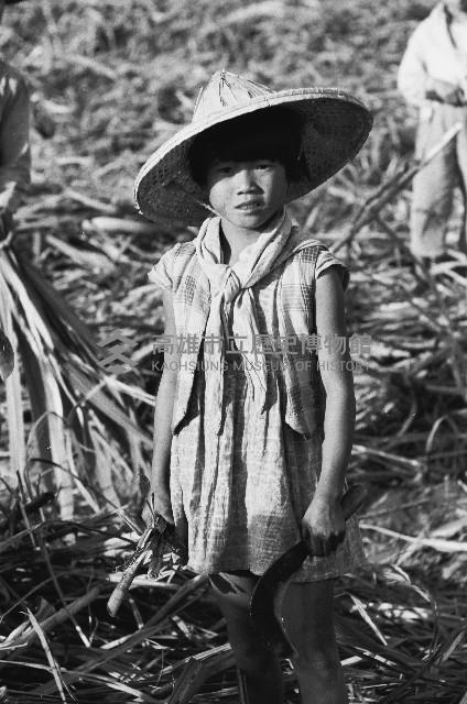 在甘蔗田裡的女童-1藏品圖，第1張