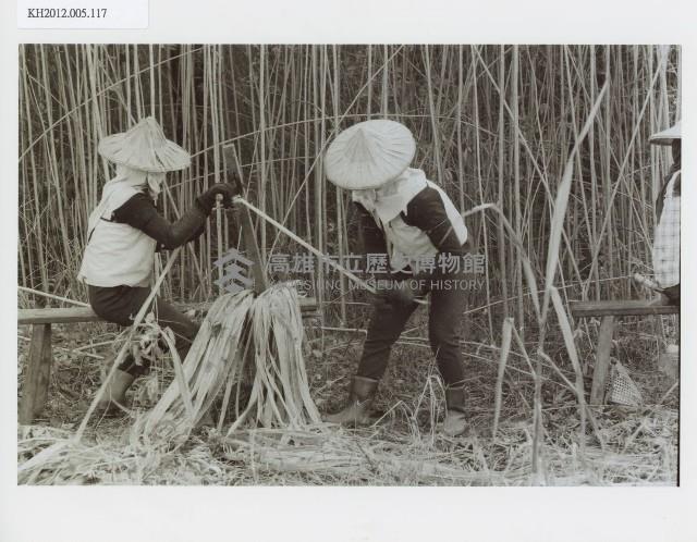 登錄號:KH2012.005.0117藏品圖，第1張