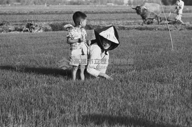 稻田中的農婦與男童藏品圖，第1張