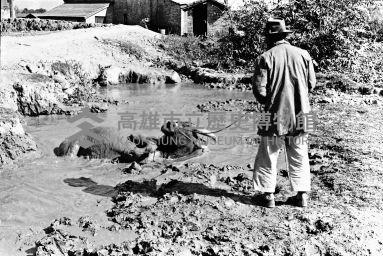 登錄號:KH2006.014.0137藏品圖，第1張