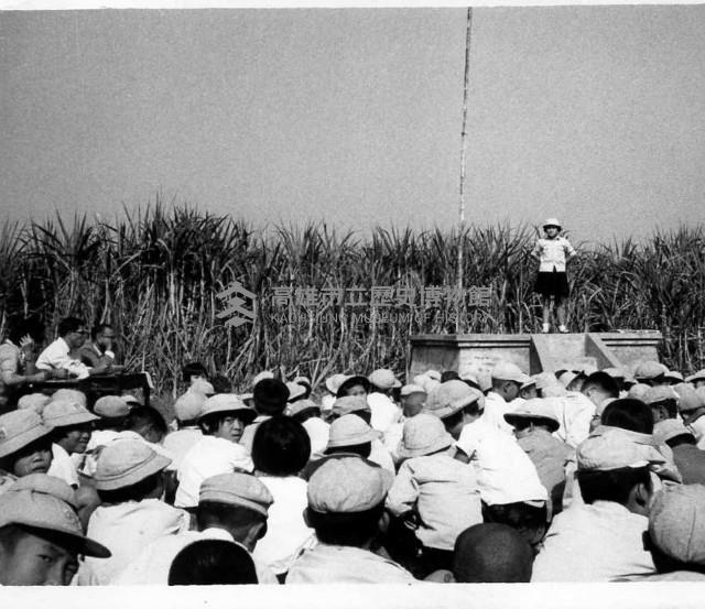 鳳鳴國小學藝競賽-7藏品圖，第1張