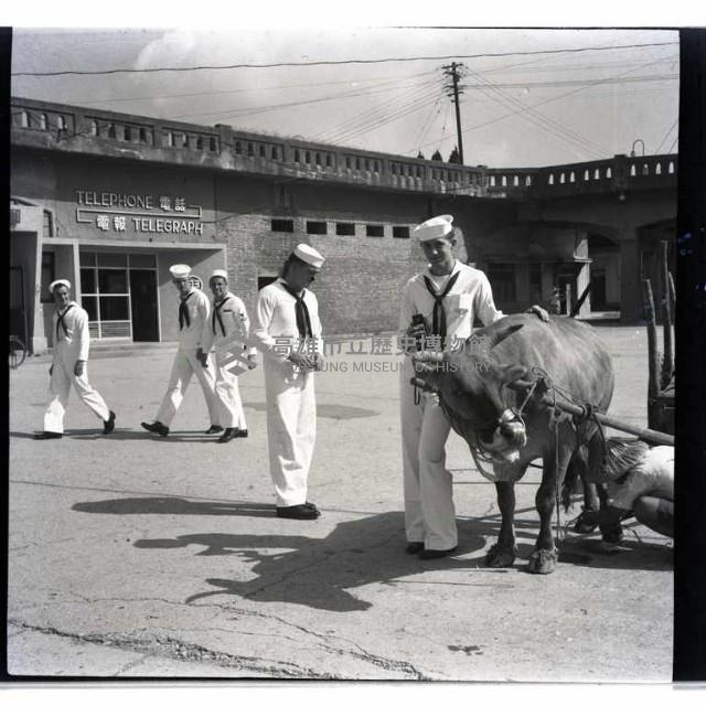 美海軍士兵與牛車藏品圖，第1張