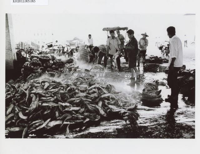 登錄號:KH2012.005.0065藏品圖，第1張