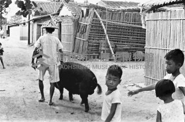 登錄號:KH2006.014.0225藏品圖，第1張