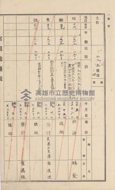 杉林庄官租地臺帳（二冊之內第一號）藏品圖，第207張