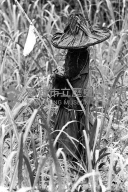 登錄號:KH2006.014.0455藏品圖，第1張