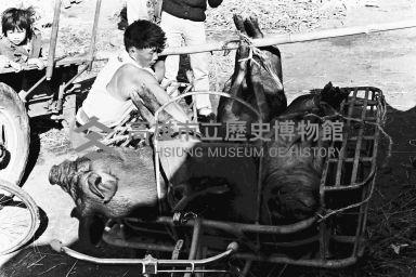 登錄號:KH2006.014.0155藏品圖，第1張