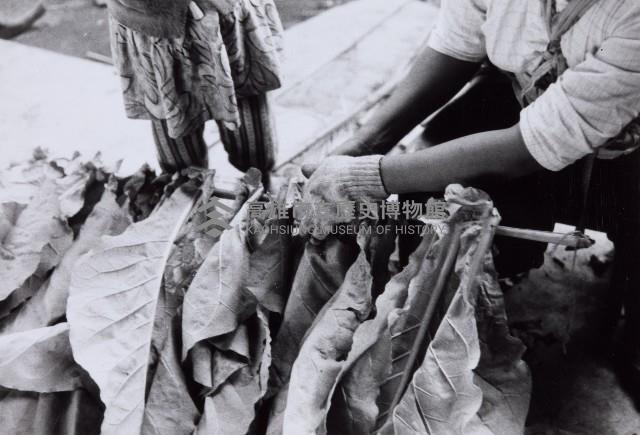 登錄號:KH2015.003.0055藏品圖，第1張