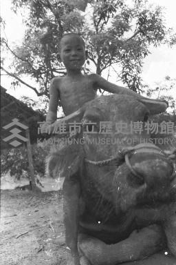 登錄號:KH2006.014.0245藏品圖，第1張