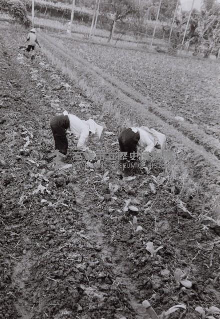 登錄號:KH2015.003.0045藏品圖，第1張