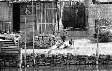 登錄號:KH2006.014.0435藏品圖，第1張