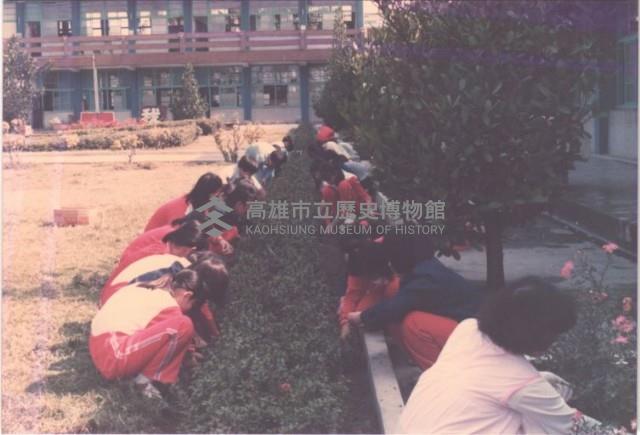 鳳鳴國小學生協助種植花圃藏品圖，第1張