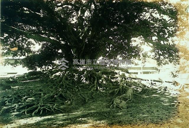 登錄號:KH2015.005.0335藏品圖，第1張