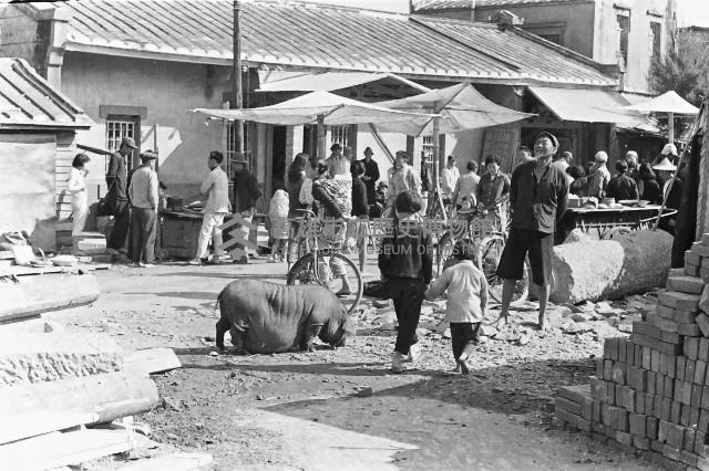 登錄號:KH2006.014.0275藏品圖，第1張