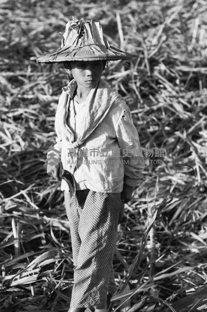 在甘蔗田裡的女童-2藏品圖，第1張