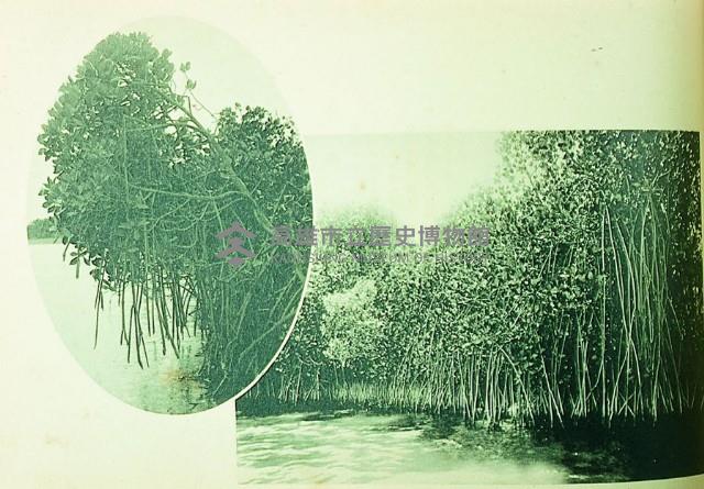 登錄號:KH2015.005.0229藏品圖，第1張