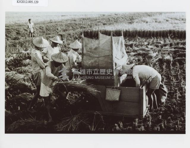 登錄號:KH2012.005.0129藏品圖，第1張