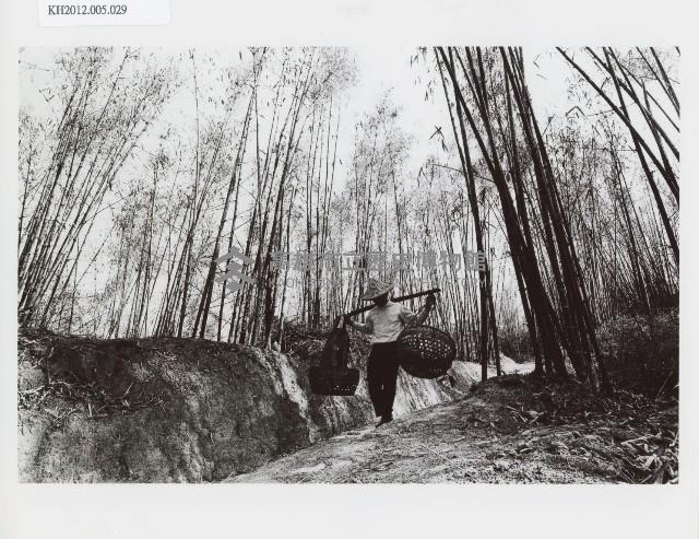 登錄號:KH2012.005.0029藏品圖，第1張