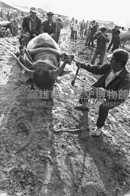 登錄號:KH2006.014.0259藏品圖，第1張