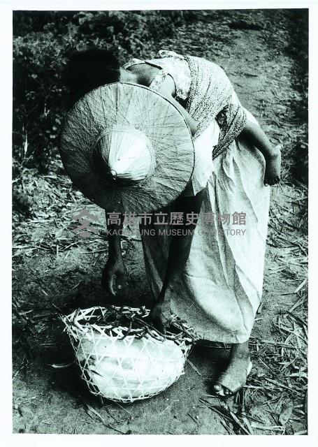 登錄號:KH2015.005.0149藏品圖，第1張