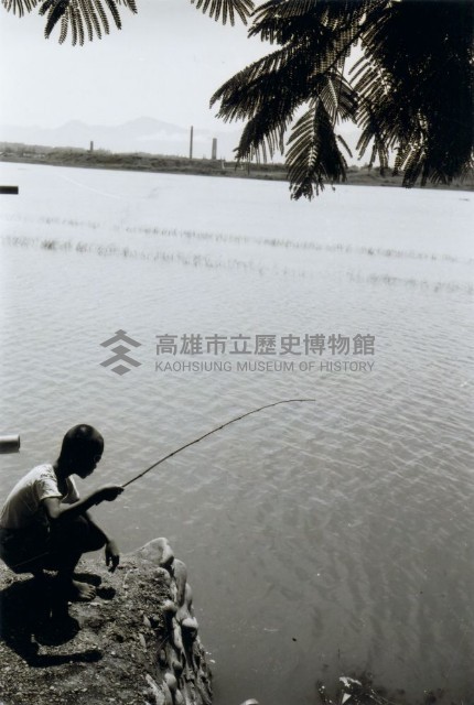 高雄蓮池潭畔的釣魚少年藏品圖，第1張