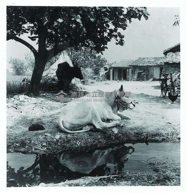 登錄號:KH2015.005.0179藏品圖，第1張