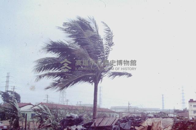 凱特林颱風-2藏品圖，第1張