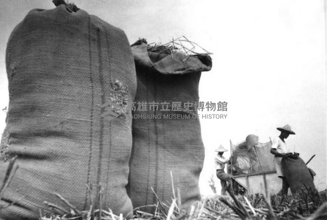 登錄號:KH2006.014.0263藏品圖，第1張