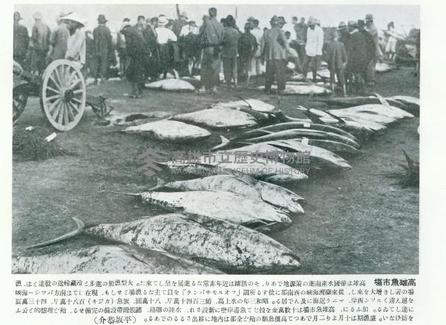 高雄漁市場藏品圖，第1張