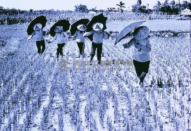 登錄號:KH2015.005.0403藏品圖，第1張