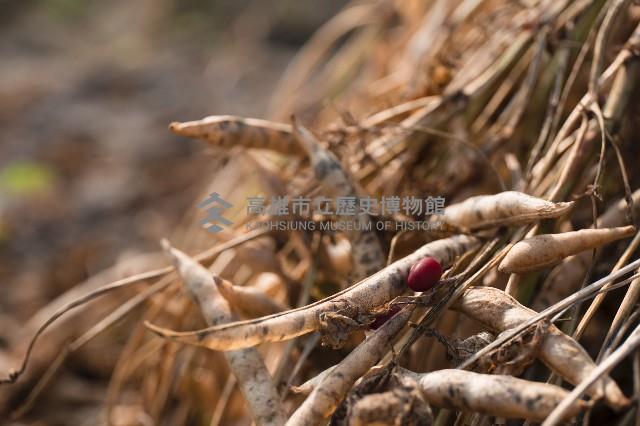 登錄號:KH2017.016.0003藏品圖，第1張