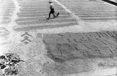 登錄號:KH2006.014.0243藏品圖，第1張