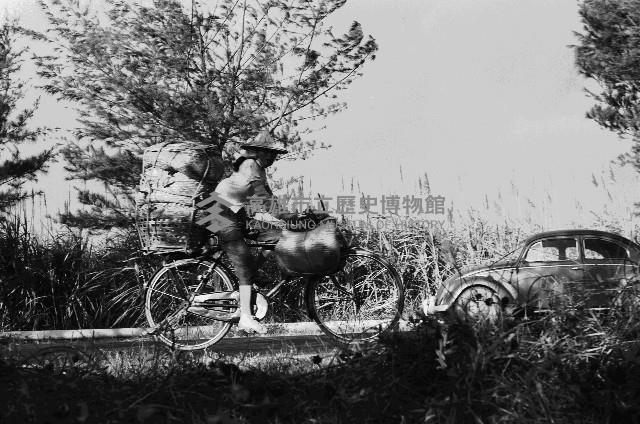 高雄郊區騎著腳踏車的農婦藏品圖，第1張