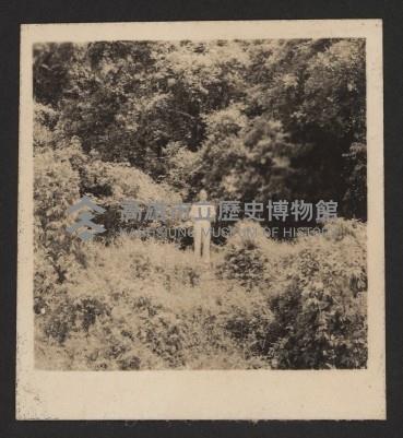 高雄市長謝掙強市政影像（相冊）藏品圖，第40張