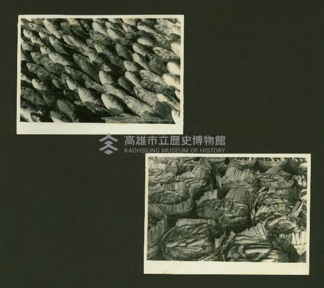 個人、建築及風景照相冊藏品圖，第114張