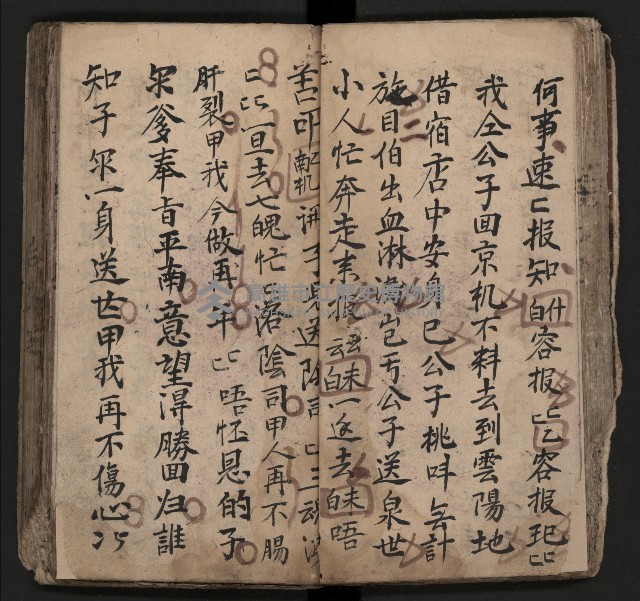 皮影戲劇本《飛鵝洞白荔枝》藏品圖，第49張
