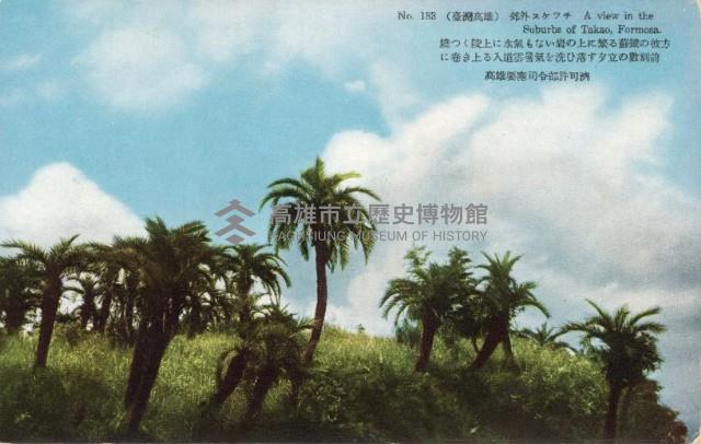 登錄號:KH2003.008.0156藏品圖，第11張