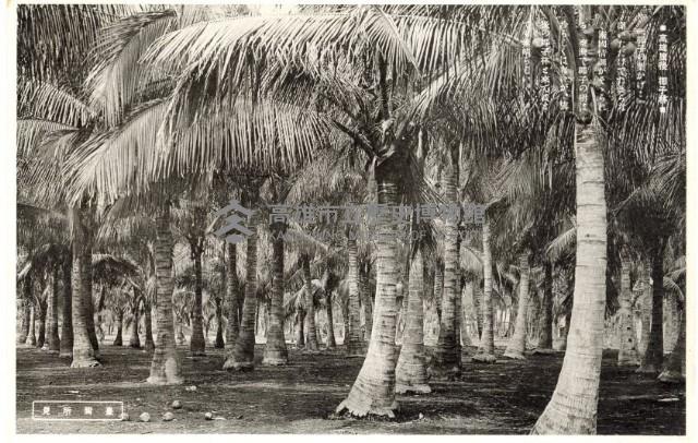 登錄號:KH2003.008.0156藏品圖，第7張